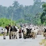 NUC Ta Bankado Wasu Haramtattun Jami’o’in 49 a Nijeriya 