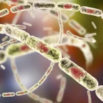 Kotun da ke sauraron karar tsohon gwamnan CBN ta bayar da belinsa bisa wasu sharuda