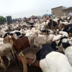 Salah Ya Lashe Kyautar Gwarzon Dan Wasan Premier Na Bana