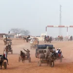 Gwamnatin Kano ta ware naira miliyan 99 domin rigakafin cutar mahaukacin kare