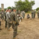 Neman mu miƙa wuya ga shirin zaman lafiya na Trump ba daidai ba ne – Zelensky